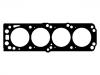 Cylinder Head Gasket:607 989