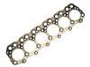 Cylinder Head Gasket:ME 081515