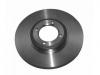 Brake Disc:79 10 007 377