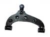 Control Arm:48200-50830