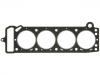 Cylinder Head Gasket:10043210