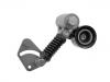 Belt Tensioner:51.95800.7396