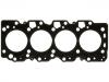 Cylinder Head Gasket:11115-64110