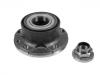 Wheel Hub Bearing:46531237